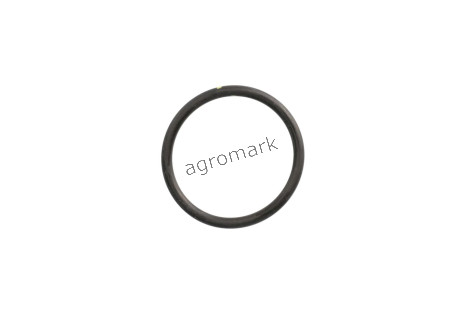 O-ring