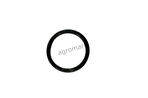 O-ring