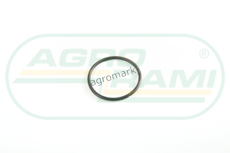 O-ring