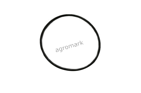 O-ring
