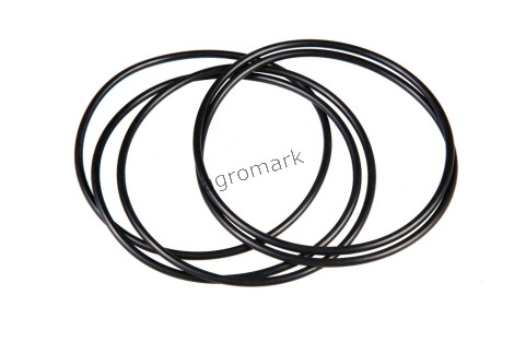 O-ring