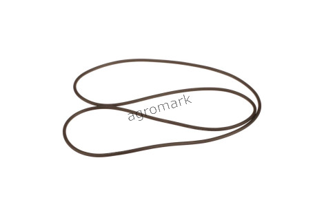 O-ring