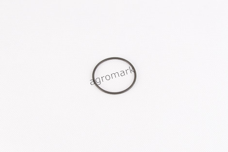 O-ring