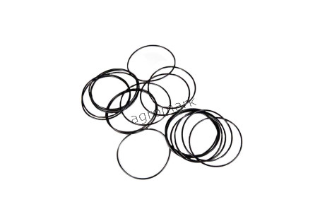 O-ring