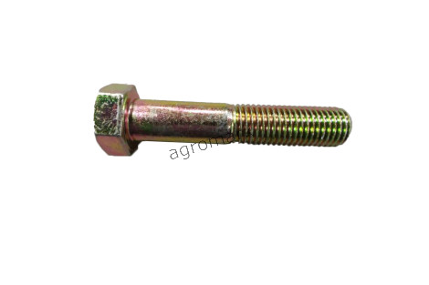 Śruba M20X100