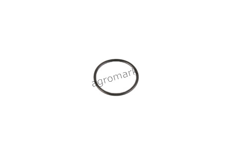 O-ring