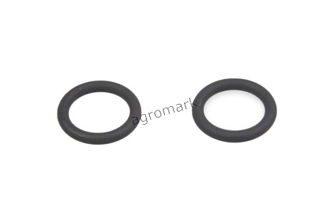O-ring