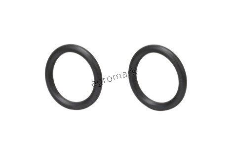 O-ring