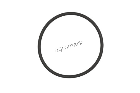 O-ring