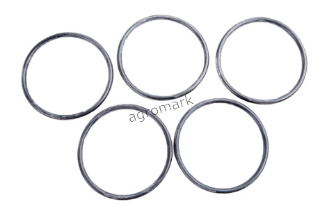 O-ring