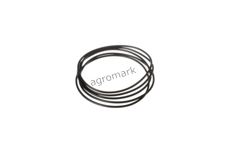 O-ring