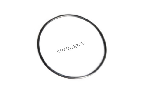 O-ring