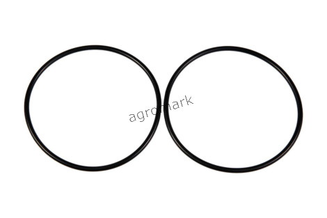 O-ring