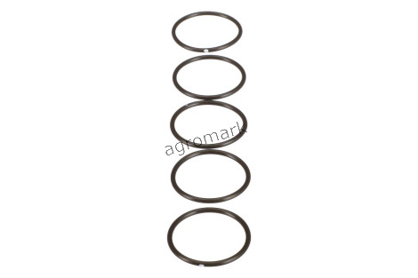 O-ring