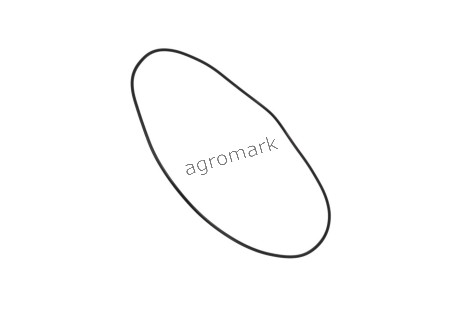 O-ring
