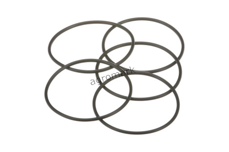 O-ring