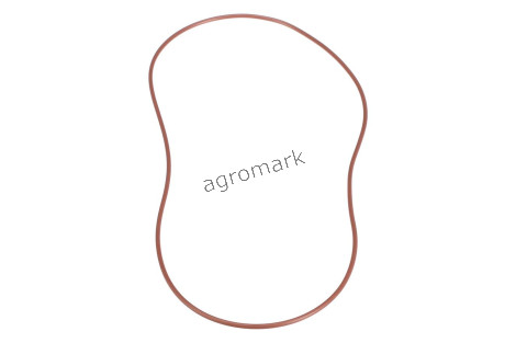 O-ring