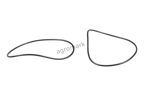 O-ring