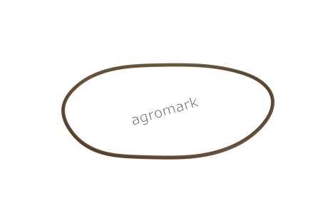 O-ring