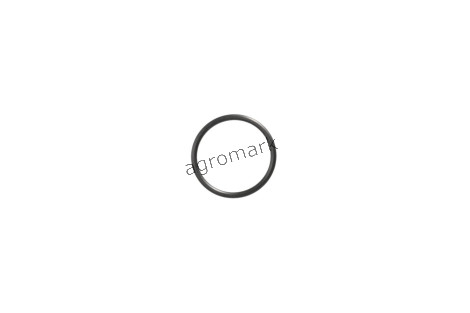 O-ring
