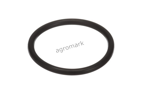 O-ring