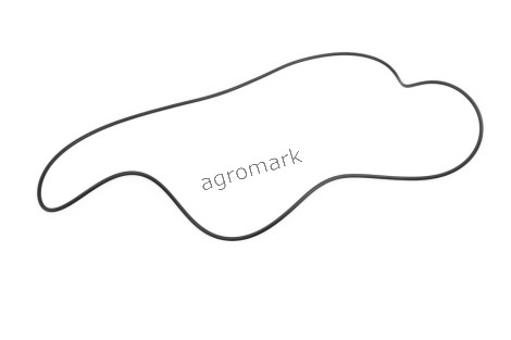 O-ring