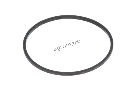 O-ring