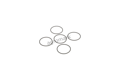 O-ring