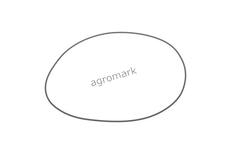 O-ring