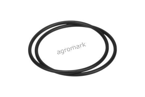 O-ring