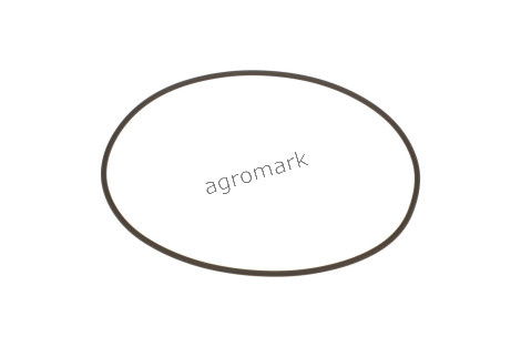 O-ring