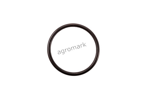 Oring 62,00x5,00