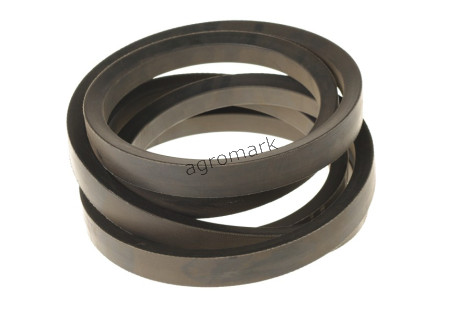 Pasek32x3825 Li  AGRO-BELTS