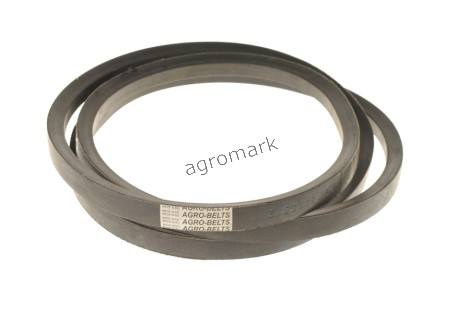 Pasek AGRO-BELTS  d1485900