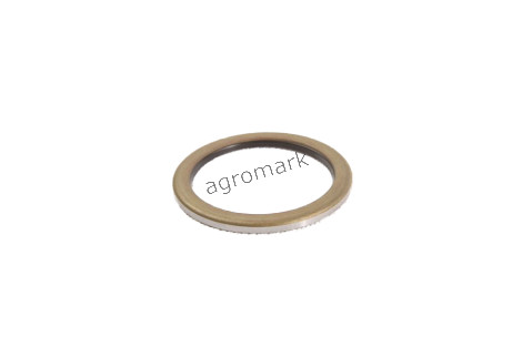 Zgarniacz
