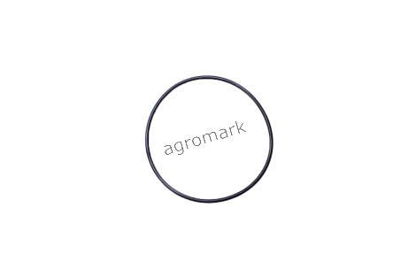 Oring 123/14465980