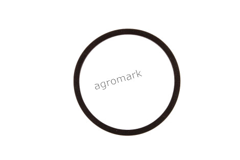 Oring 25/306-5