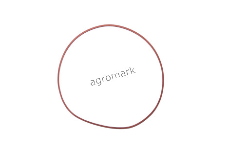 Oring 25/416-30