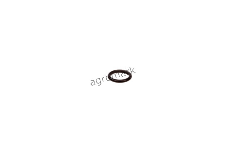 Oring 123/14457181