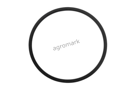 O-ring