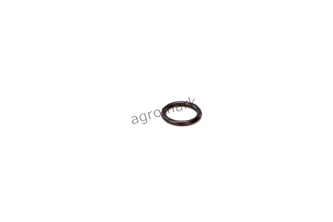 Oring 123/14457180