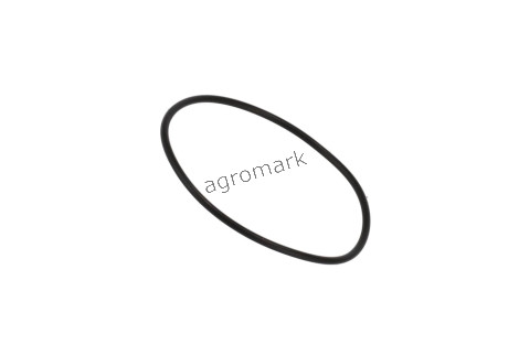 O-ring