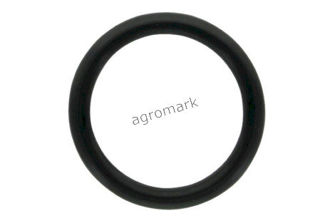 O-ring