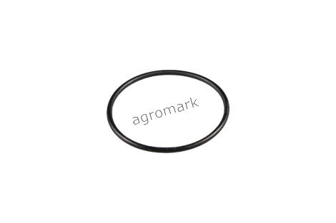 O-ring