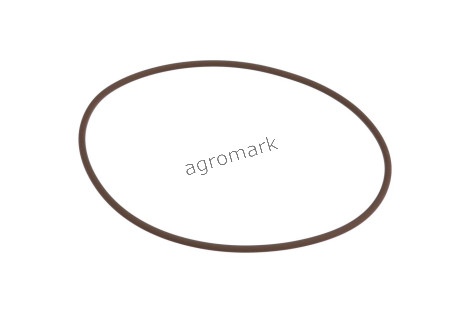 O-ring