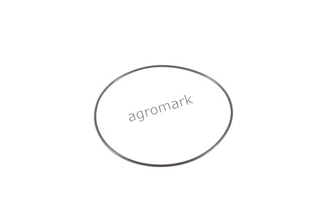 O-ring
