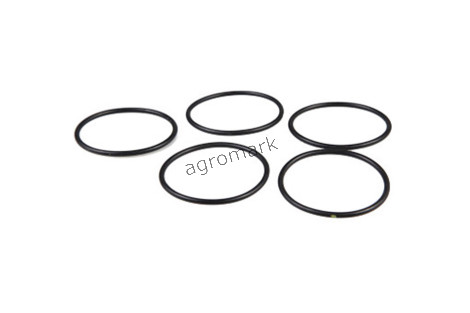 O-ring