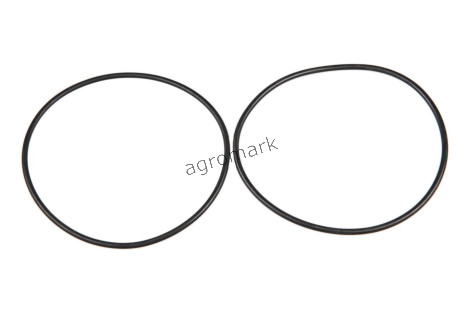 O-ring
