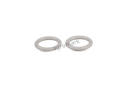 O-ring