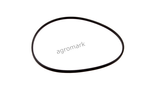 O-ring